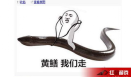 黄鳝视频,探寻水底生物的神秘生活